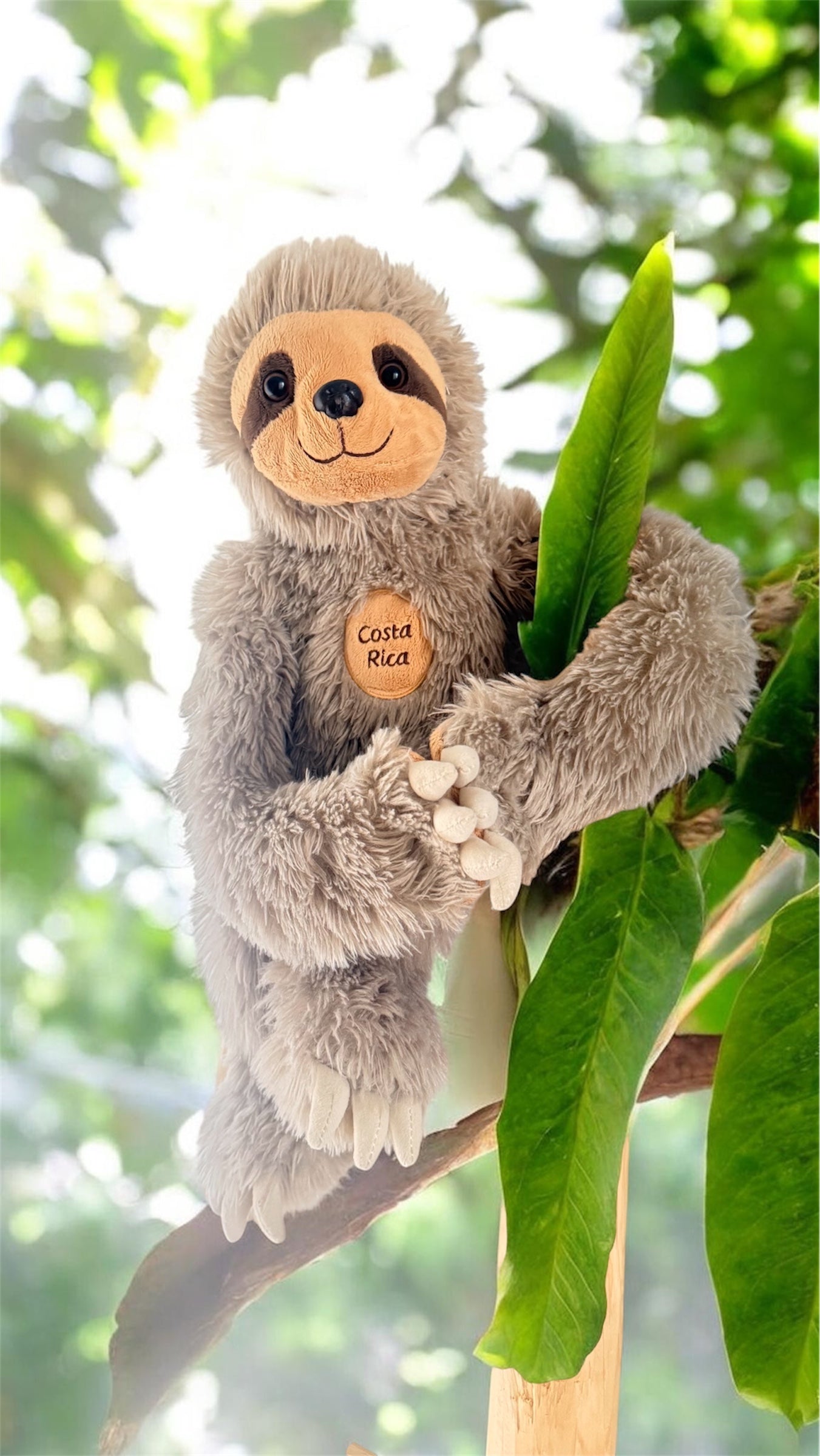 SLOTHIE PURA VIDA